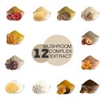 Lions Mane Mushroom Drops Manufacturer - Medicinal Mushroom Extract Liquid Supplement