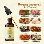 Mushroom Complex Liquid Extract - Immune Support Supplement with Lions Mane