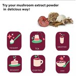 Mushroom Extract Powder Manufacturer - Private Label Organic 12-in-1 Blend with Lions Mane