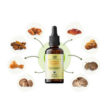 Medicinal Mushroom Complex Liquid Extract - Lions Mane for Immune Support & Brain Boost Tincture