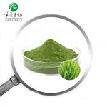 Barley Grass Extract Manufacturer - Organic 10:1 Ratio Powder