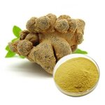 Notoginseng Extract Powder Manufacturer - Herbal Natural Health Food Ingredient