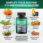 All in One Shilajit Capsules Manufacturer - Sea Moss Ashwagandha Ginseng Black Seed Oil Complex