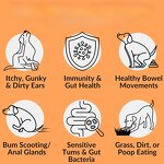 Pet Multivitamin Soft Chews Manufacturer - Prebiotics & Probiotics Supplement for Dogs