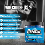 Creatine Gummies Manufacturer - 5000mg Sugar-Free Pre-Workout Supplement in Powder Form
