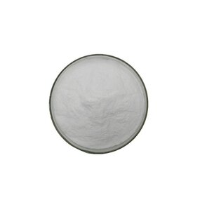 Lactobacillus Fermentum Powder Manufacturer - Healthcare Food Additive