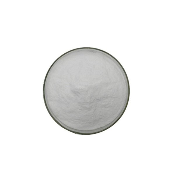 Lactobacillus Fermentum Powder Manufacturer - Healthcare Food Additive