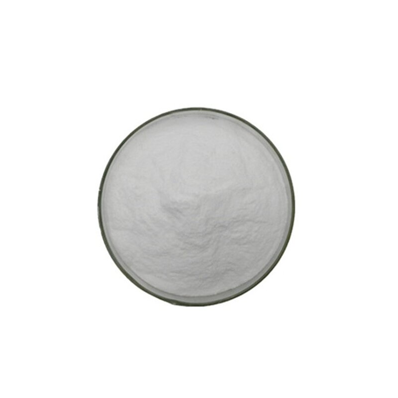 Lactobacillus Fermentum Powder Manufacturer - Healthcare Food Additive