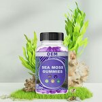 Vegan Seaweed Gummies Manufacturer - Halal Certified for Thyroid Health & Detox