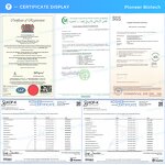 Peanut Protein Powder Manufacturer - As Food Additive