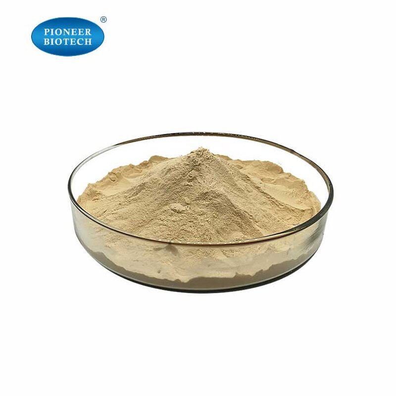 Rice Bran Manufacturer - Oryza Sativa, ISO Factory Supply
