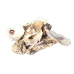 贝壳工艺品生产厂家-定制涂鸦艺术天然贝壳圣诞DIY装饰