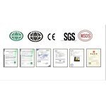 Ceylon Cinnamon Bitter Melon Ginkgo Extract Capsules Manufacturer - 60 Capsules for Gut Health & Immune Support