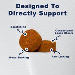 Probiotics Soft Chews Manufacturer - Latest Design for Dog Gut Health Support