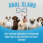 Anal Gland Soft Chew Treats for Dogs Manufacturer - Healthy Support Formula