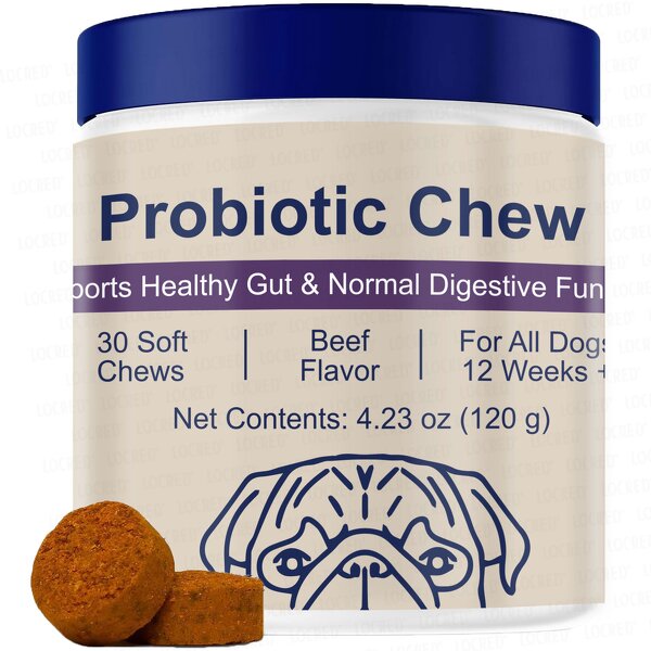 Probiotics Soft Chews Manufacturer - Latest Design for Dog Gut Health Support