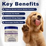 Probiotics Soft Chews Manufacturer - Latest Design for Dog Gut Health Support
