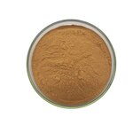 Pholiota Nameko Mushroom Extract Manufacturer - 20% to 50% Polysaccharides Powder