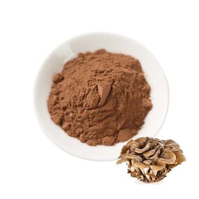 Maitake Mushroom Extract Manufacturer - Organic Grifola Frondosa 50% Polysaccharide