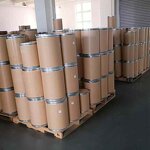 Chaga Mushroom Powder Manufacturer - Food Grade Chaga Powder