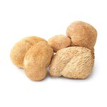 Lions Mane Mushroom Powder Manufacturer - 99% Pure Natural Hericium Erinaceus Powder
