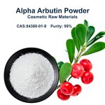 Alpha Arbutin Powder Manufacturer - 98% Pure Plant Extract for Cosmetics