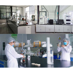 Lions Mane Mushroom Powder Manufacturer - 99% Pure Natural Hericium Erinaceus Powder