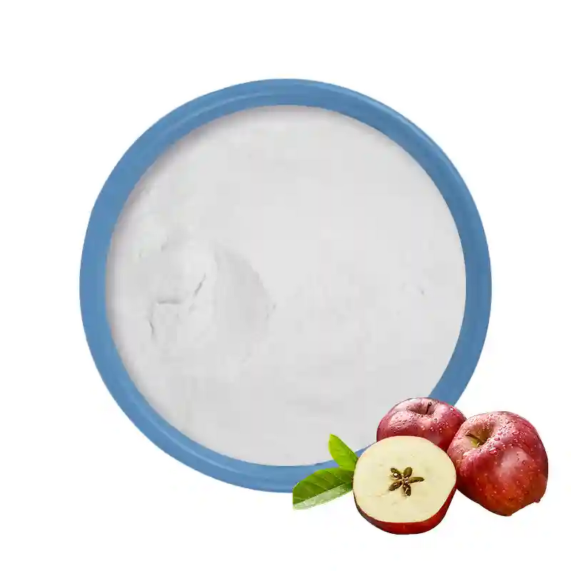 Apple Cider Vinegar Powder Manufacturer - Organic Apple Fruit Extract