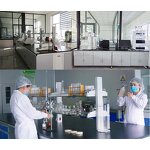 Apricot Kernel Powder Manufacturer - Natural Plant Extract for Cosmetic Skin Care