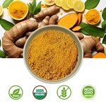 Turmeric Extract Powder Manufacturer - 95% Curcumin HPLC, Food Grade Bulk OEM