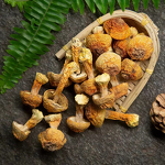 Pholiota Nameko Mushroom Extract Manufacturer - 20% to 50% Polysaccharides Powder