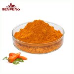 Carrot Juice Powder Manufacturer - 100% Organic Food Grade Carrot Extract