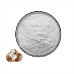 Coconut Milk Powder Manufacturer - Pure Natural Coconut Extract for Food