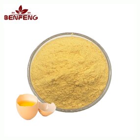 Hydrolyzed Egg Yolk Powder Manufacturer - Food Grade for Adults