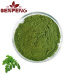 Moringa Oleifera Leaf Extract Powder Manufacturer - 100% Pure Hot Selling