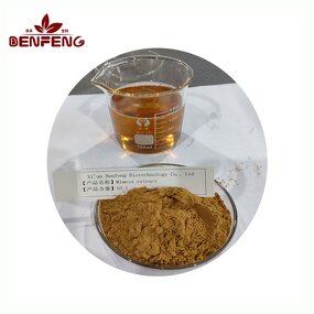 Mimosa Pudica Extract Powder Manufacturer - 10:1 Food Grade HPLC Tested in Bottles Drums Cans