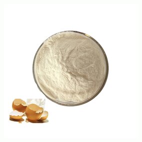 Egg Shell Membrane Powder Manufacturer - 99% Natural Extract