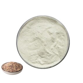 Quinoa Protein Powder Manufacturer - Bulk Quinoa Extract Powder