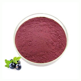 Blackcurrant Juice Powder Manufacturer - 100% Pure Natural Food Grade Fruit Powder