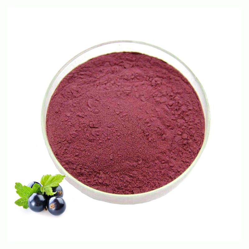 Blackcurrant Juice Powder Manufacturer - 100% Pure Natural Food Grade Fruit Powder