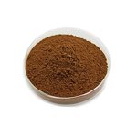 Food Grade Propolis Powder Manufacturer - 100% Natural Organic Propolis Extract with Flavonoids