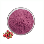 Organic Cranberry Powder Manufacturer - Freeze-Dried Fruit & Juice Powder