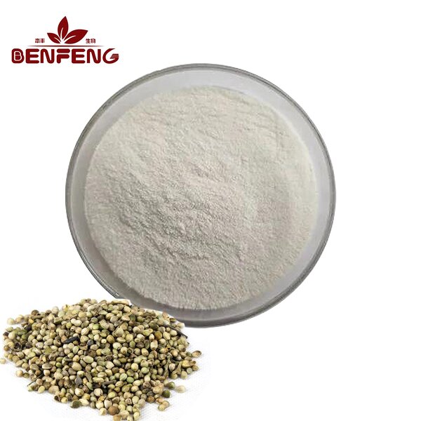 Hemp Seed Protein Powder Manufacturer - Natural Hemp Seed Extract