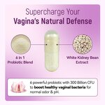 Probiotic Supplements Manufacturer - 100% Natural Vaginal Probiotics for Women Supporting Endocrine Health