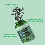 Spirulina Capsules Manufacturer - Organic Green Antioxidant Dietary Fiber Supplement