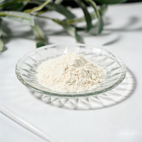 Whey Protein Powder Manufacturer - 80% Protein for Muscle Support, 1kg for Adults & Teenagers