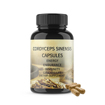 Cordyceps Sinensis Extract Capsules Manufacturer - Custom OEM for Immune & Energy Support