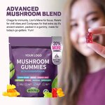 Lion's Mane Reishi Mushroom Gummies Manufacturer - Private Label Organic Nootropic Brain Supplements for Memory & Immune Support