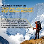 Shilajit Extract Manufacturer - OEM Himalayan Siberian Supplement Oil for Metabolism & Immune Support