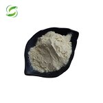Gamma Oryzanol Manufacturer - CAS 11042-64-1 Wholesale